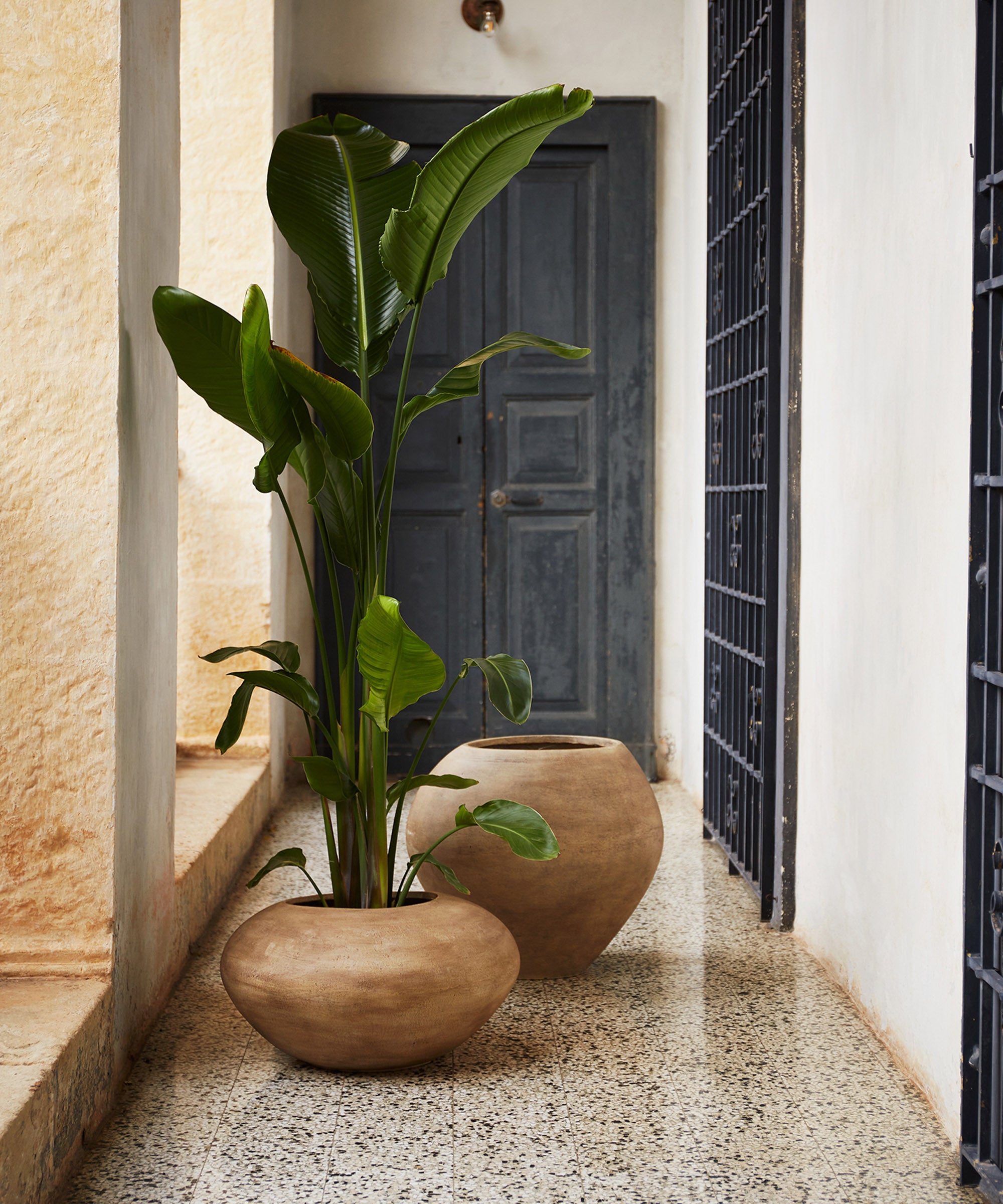 Dodu Pot - Image 2