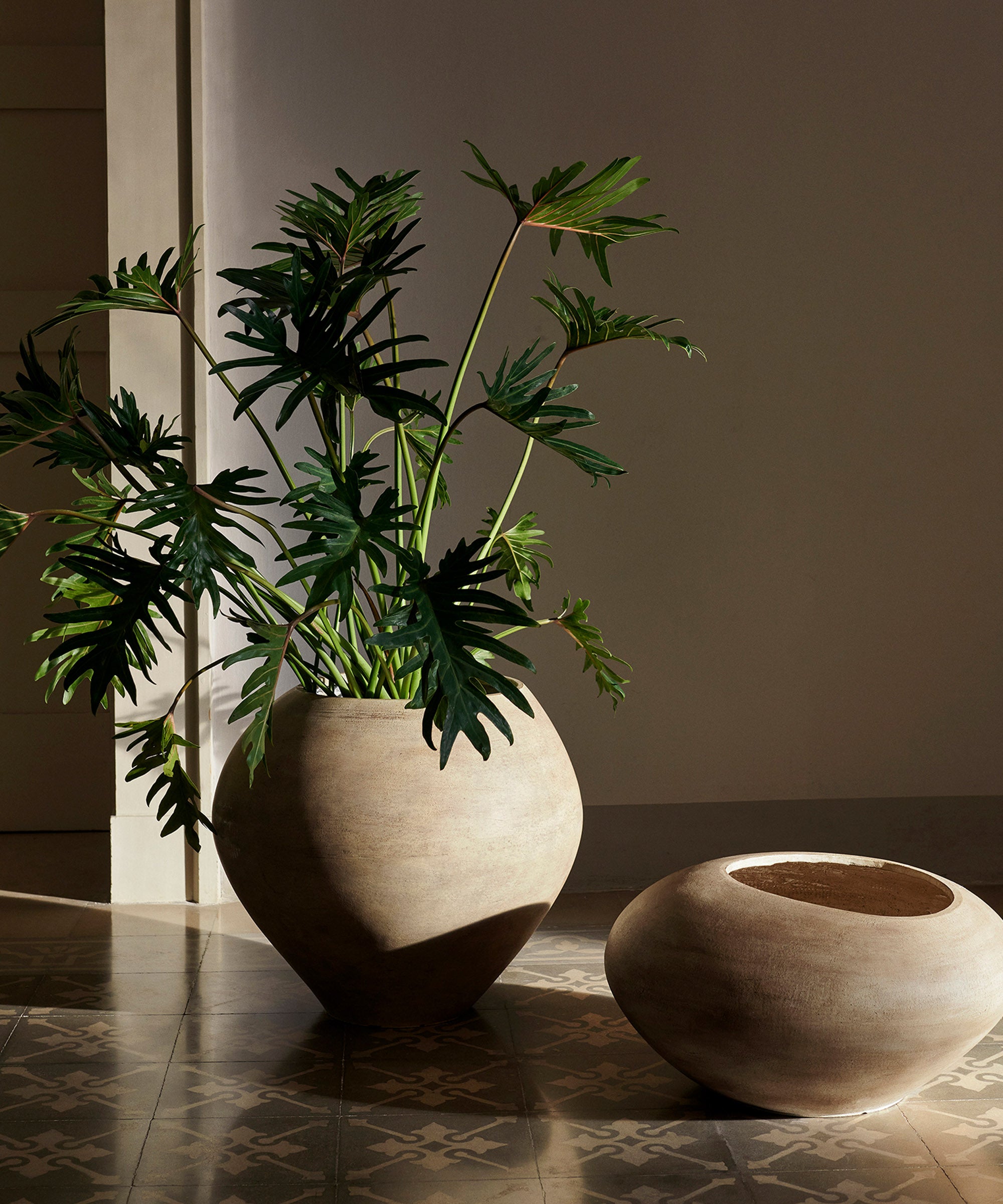 Dodu Pot - Image 4